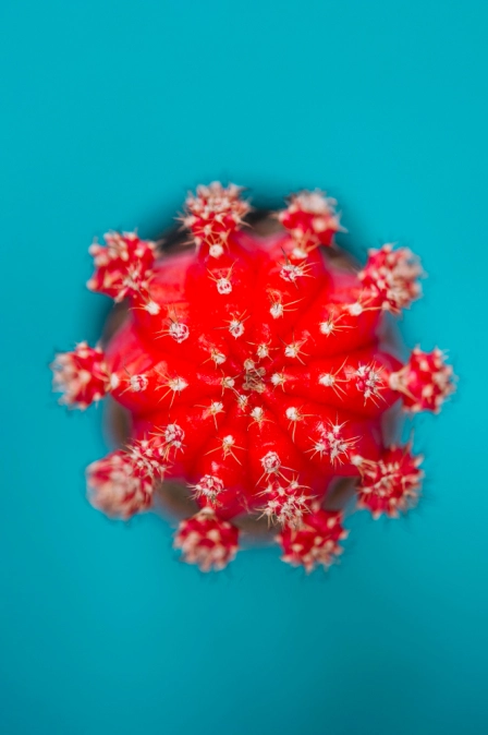 фото энтеровируса